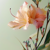 歪脖子的胡萝卜的头像-微资源