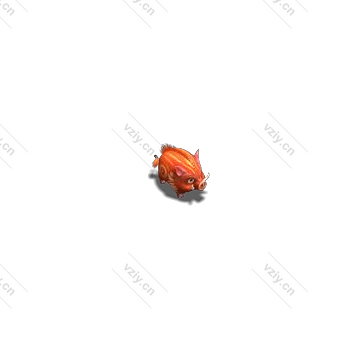宠物小猪-微资源素材分享站