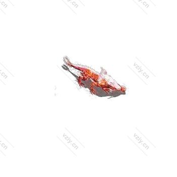 宠物蜥蜴龙-微资源素材分享站